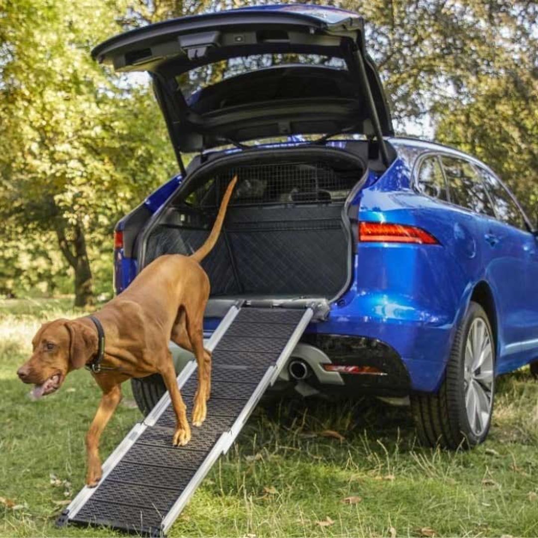 8 dog-friendly cars that you and your pet will love