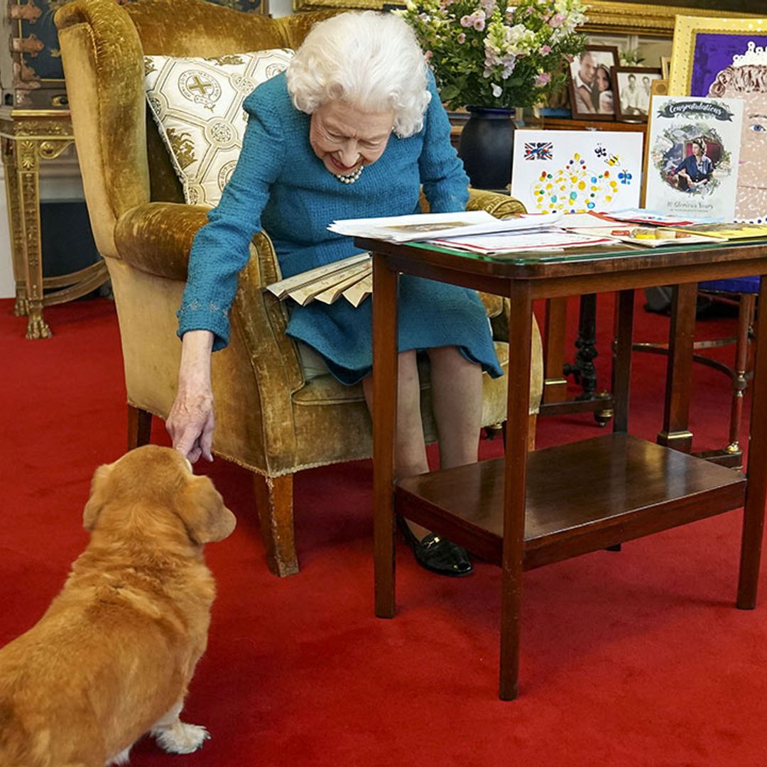The Queen's pet dorgi Candy hilariously interrupts her memorabilia viewing