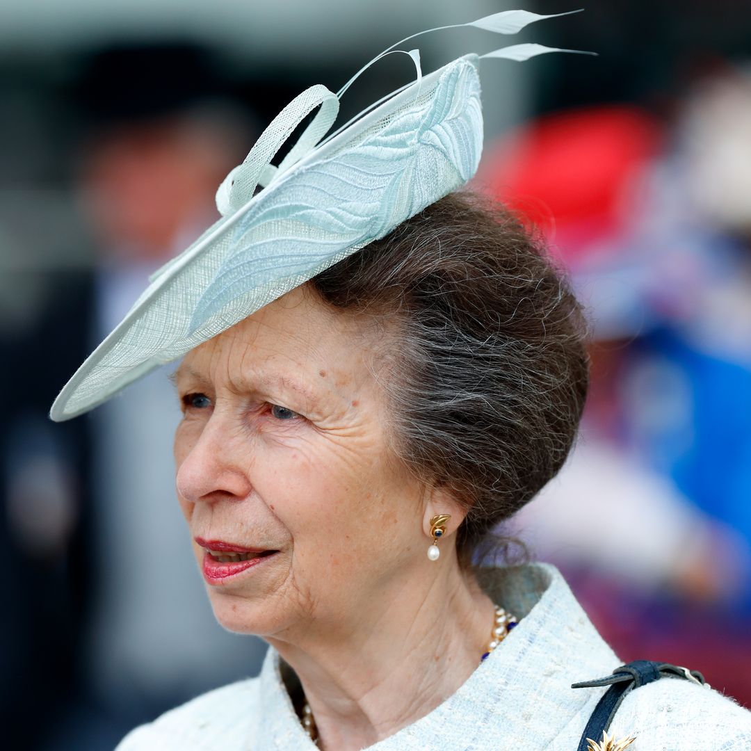 Princess Anne's poignant £4k brooch encapsulates her strength amid King Charles' cancer diagnosis