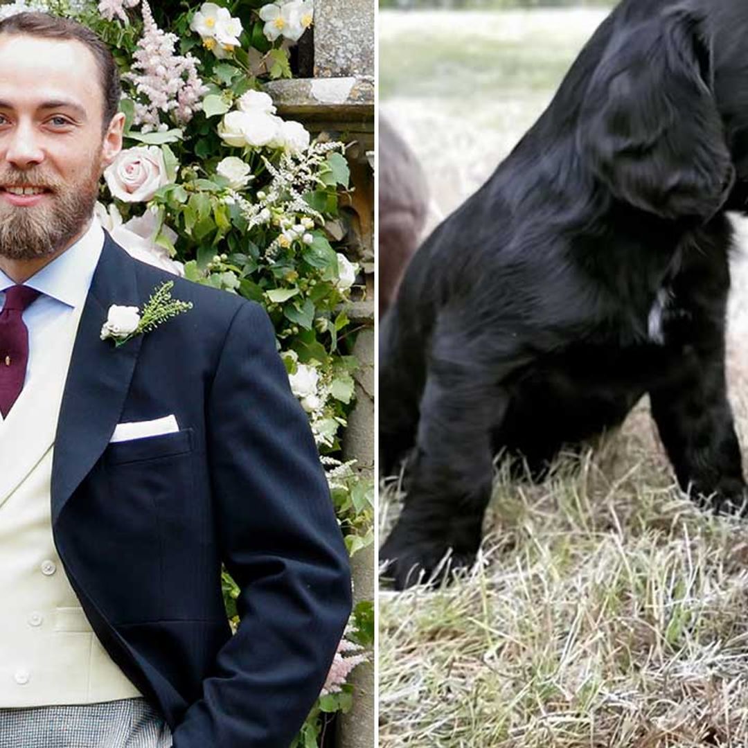 James Middleton's video of Prince William and Kate's puppy will make your day