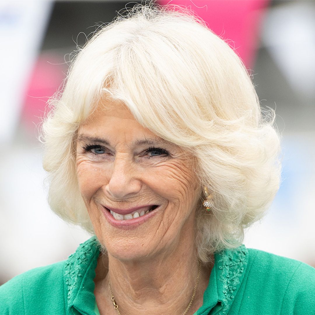 Royal fans all saying same thing about Queen Consort Camilla after latest royal update