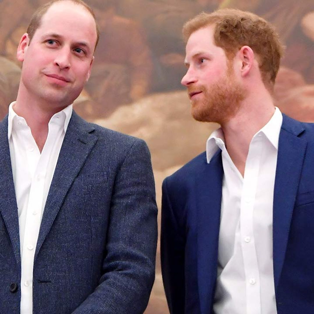 Princes William and Harry reunite in first look at heartwarming Prince Philip documentary