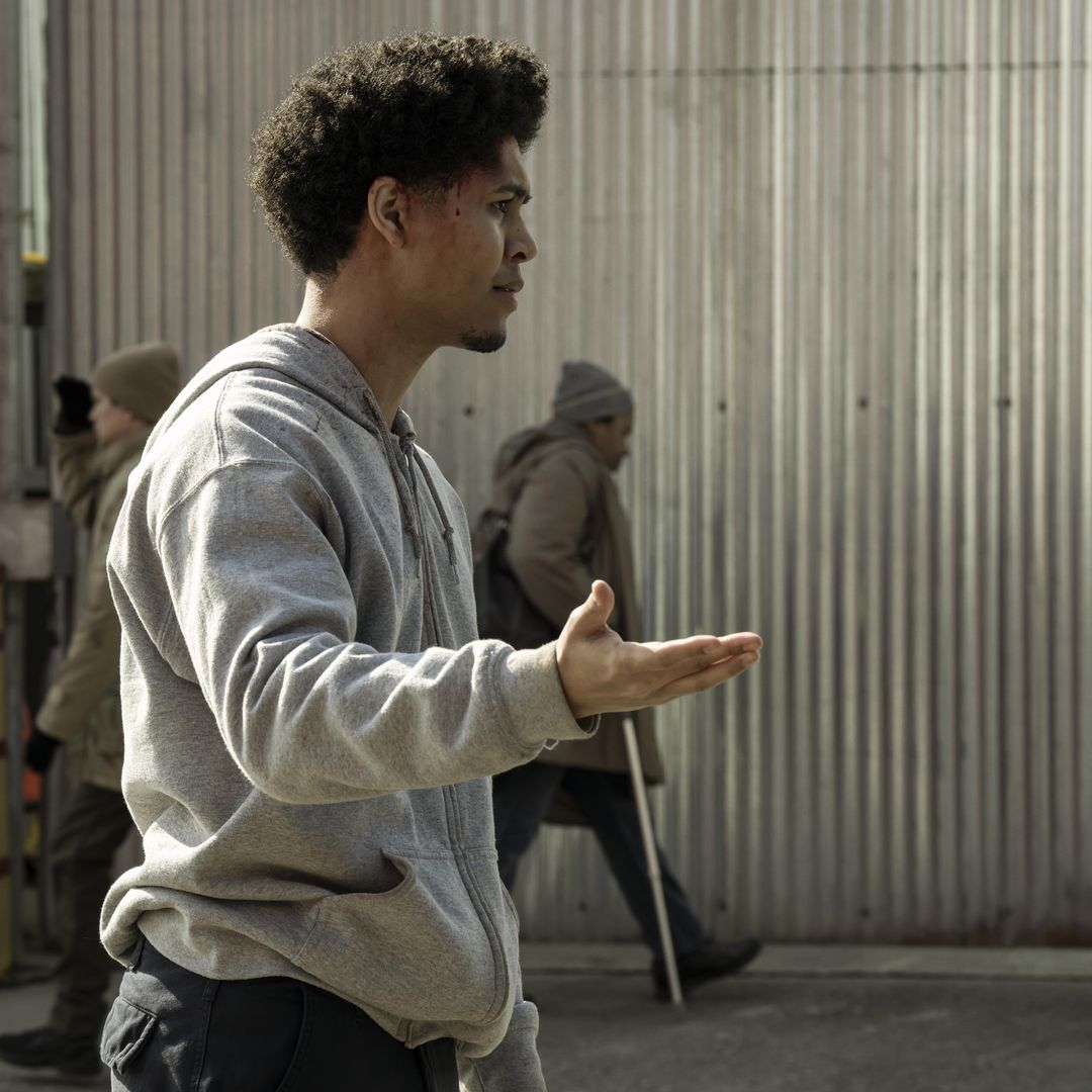 The real reason why 'the best show of 2024' won't be returning for season 2