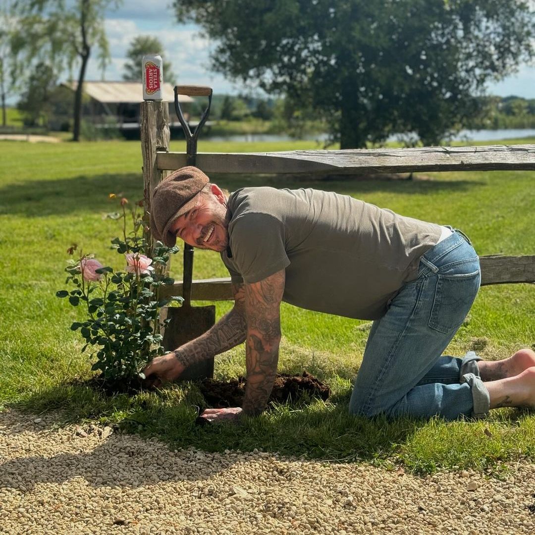 The Beckham's 'work in progress' Cotswolds garden pictured mid-transformation 