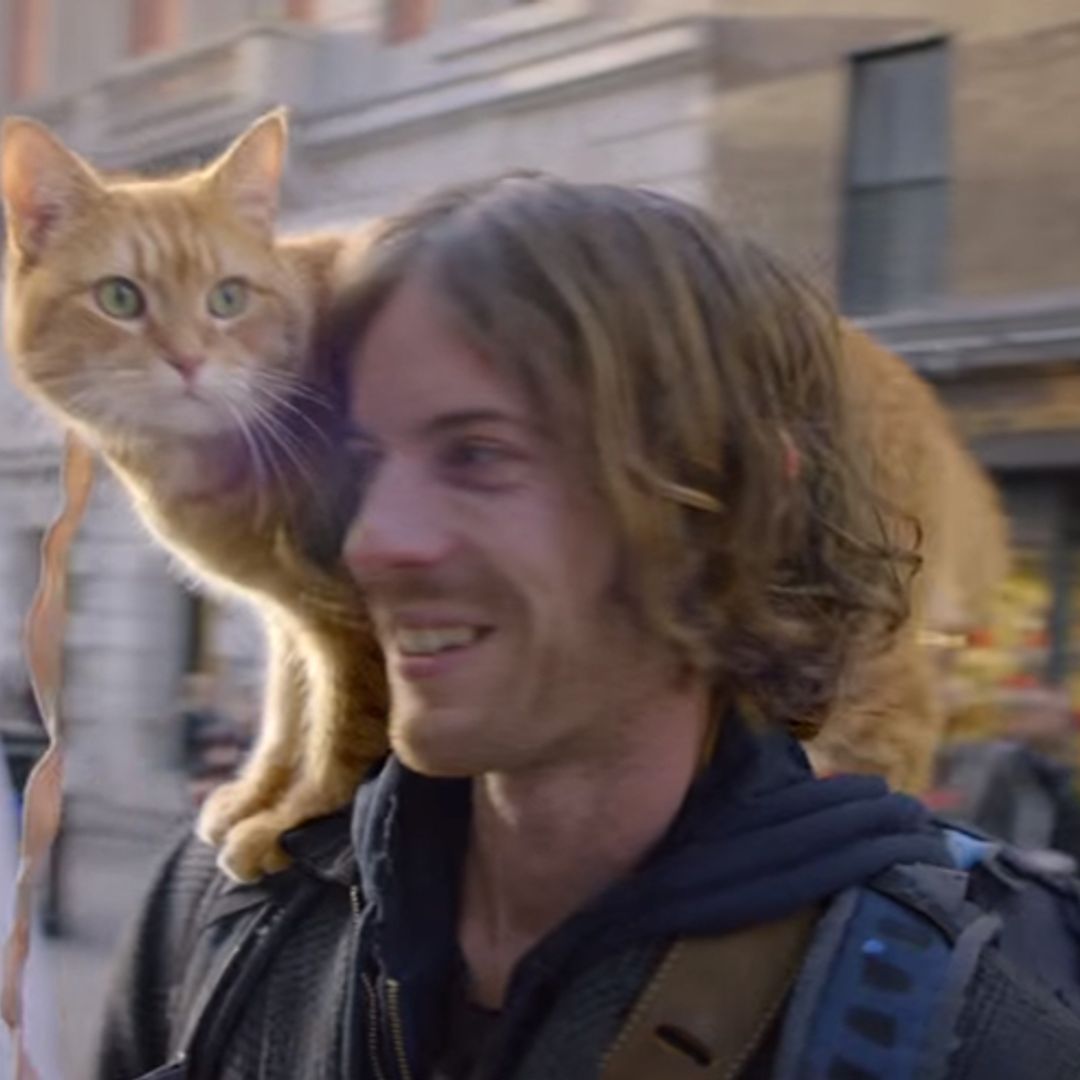 First trailer for A Street Cat Named Bob released – starring the original stray cat himself