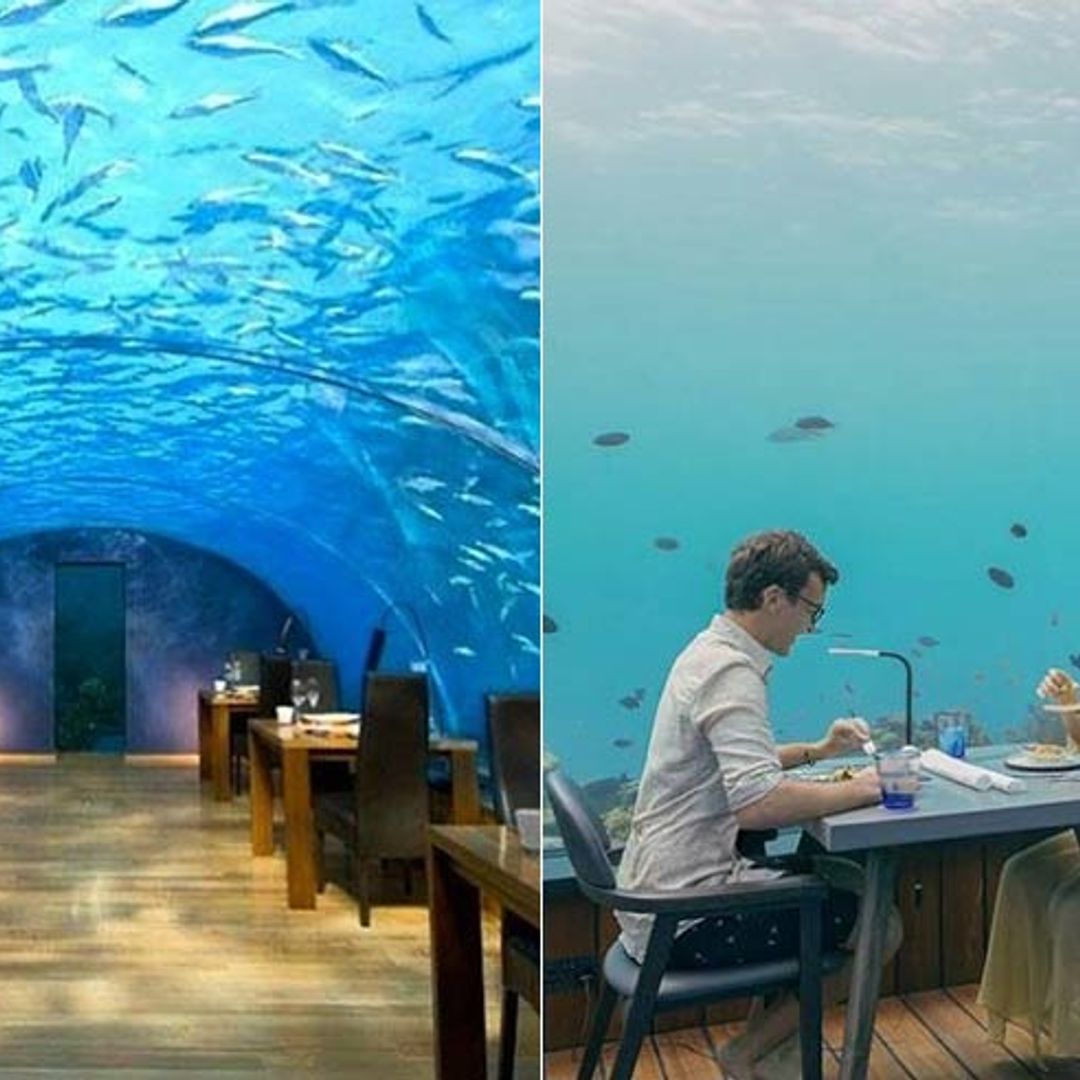 You could dine at these breath-taking underwater restaurants in the Maldives