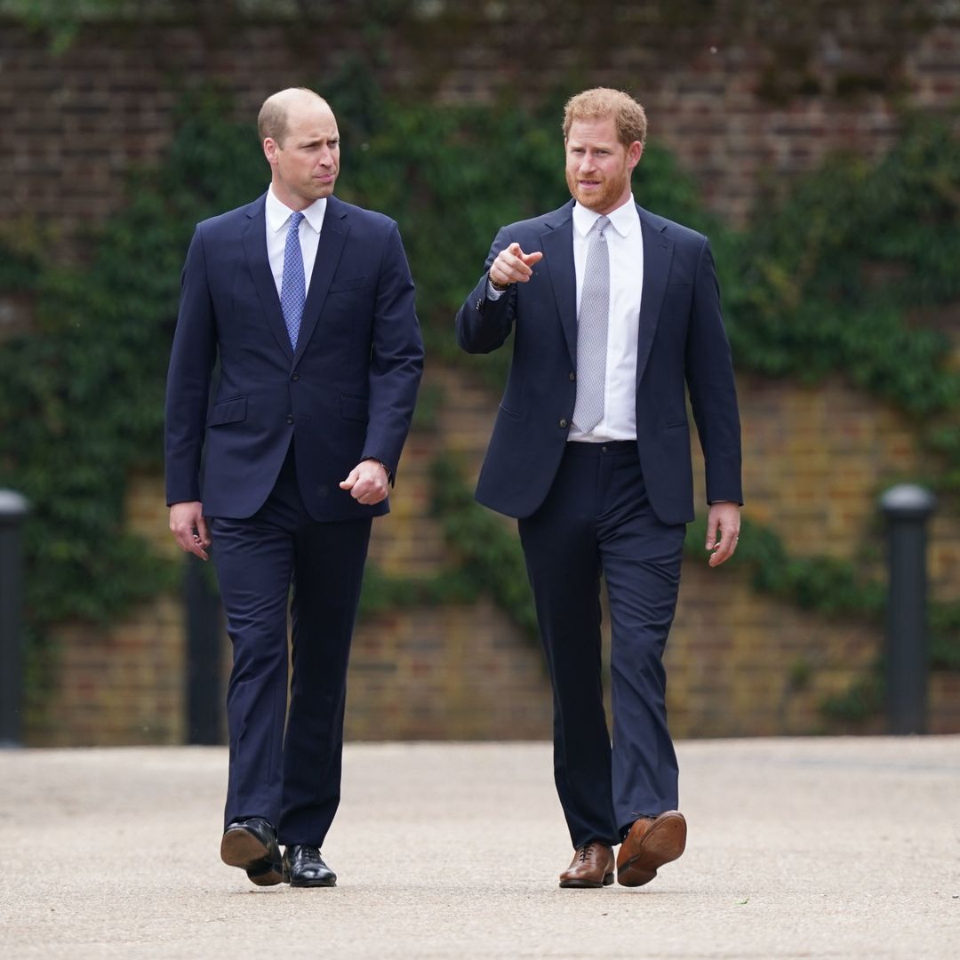 Why Prince William won't reunite with Prince Harry in New York next month