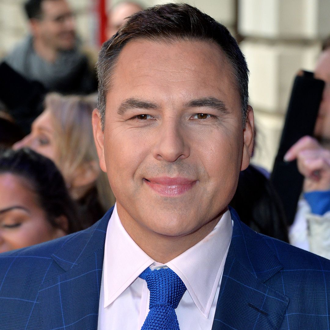 David Walliams soldiers on with work following reported split from Lara Stone