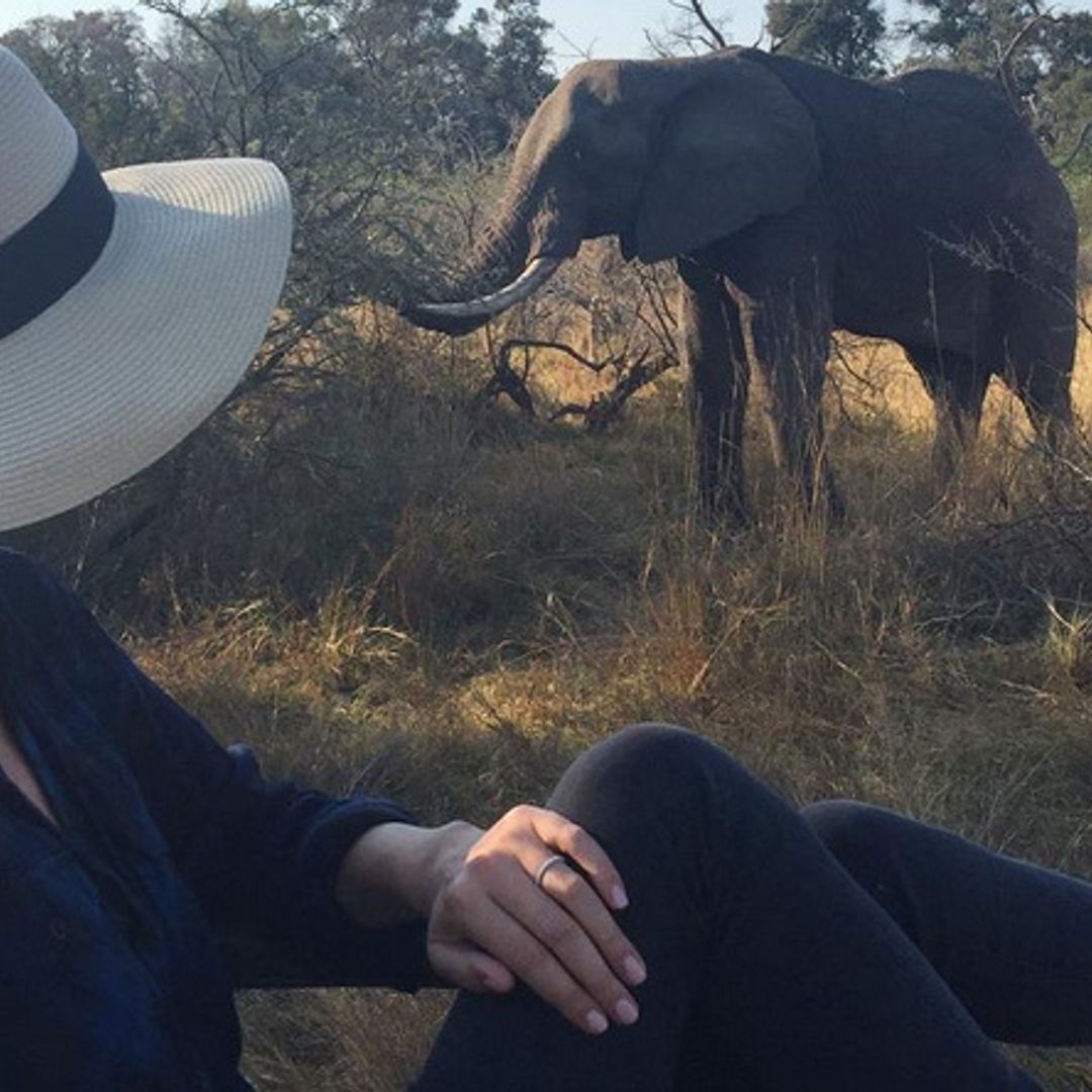 Nicky Hilton's luxurious safari honeymoon in Botswana: photos