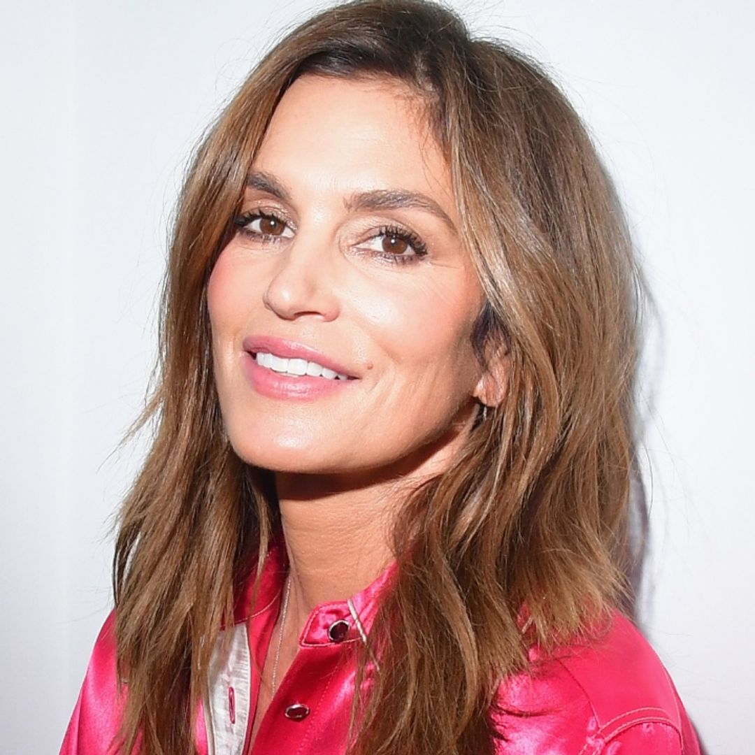 Cindy Crawford completely steals the show in a gorgeous gown with a high slit