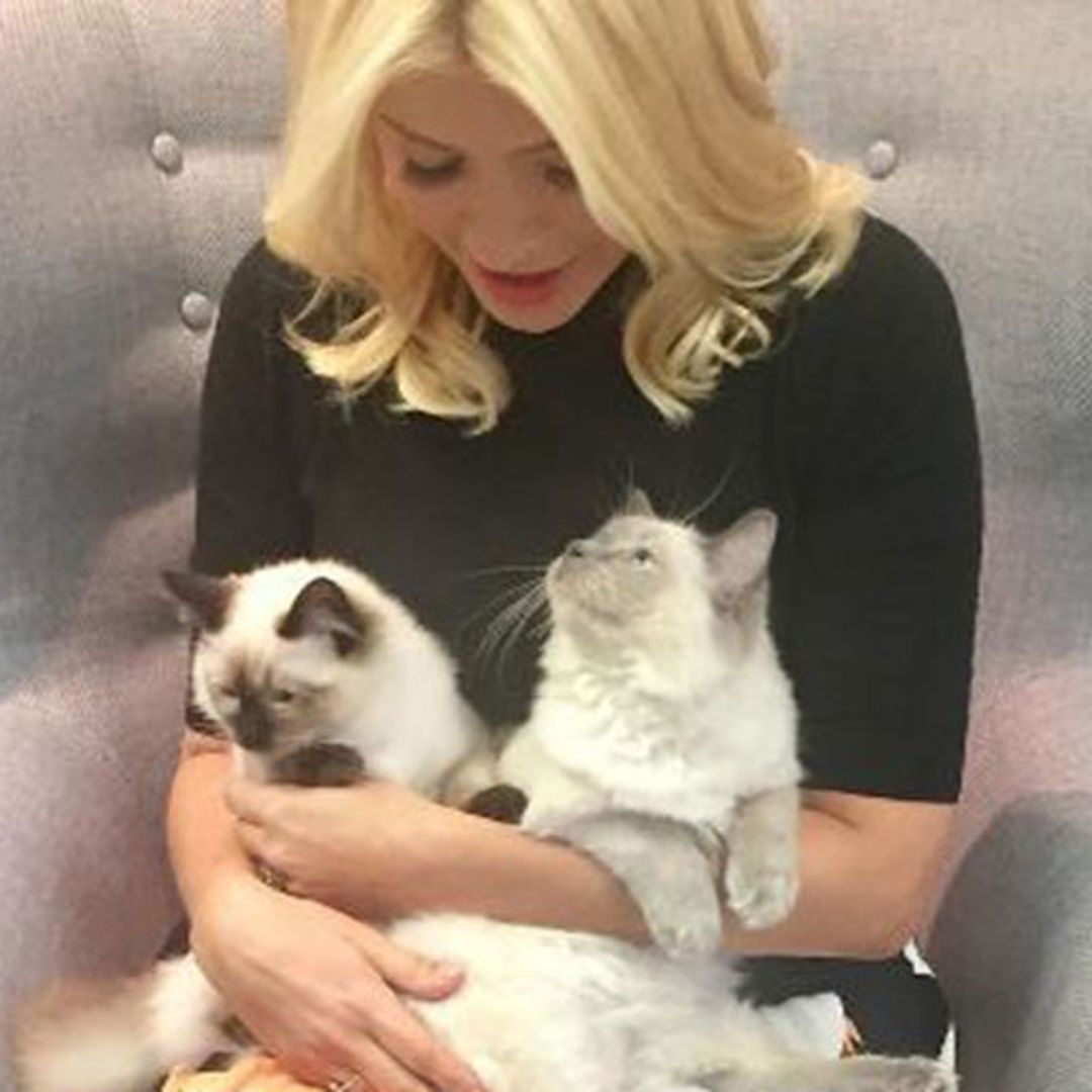 Holly Willoughby delights This Morning viewers as she brings her kittens to work