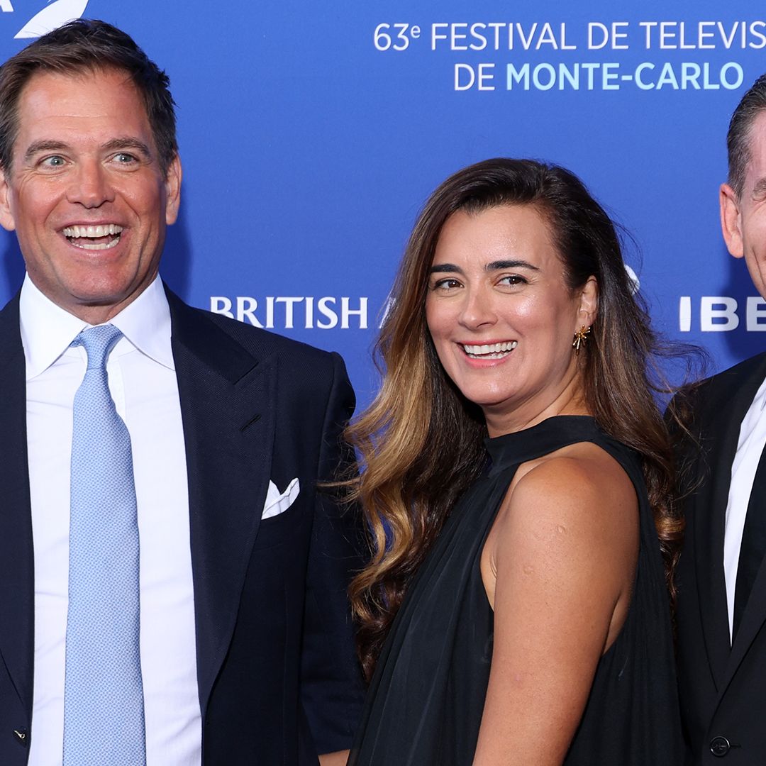 Brian Dietzen addresses potential cameo in NCIS spin-off Tony and Ziva