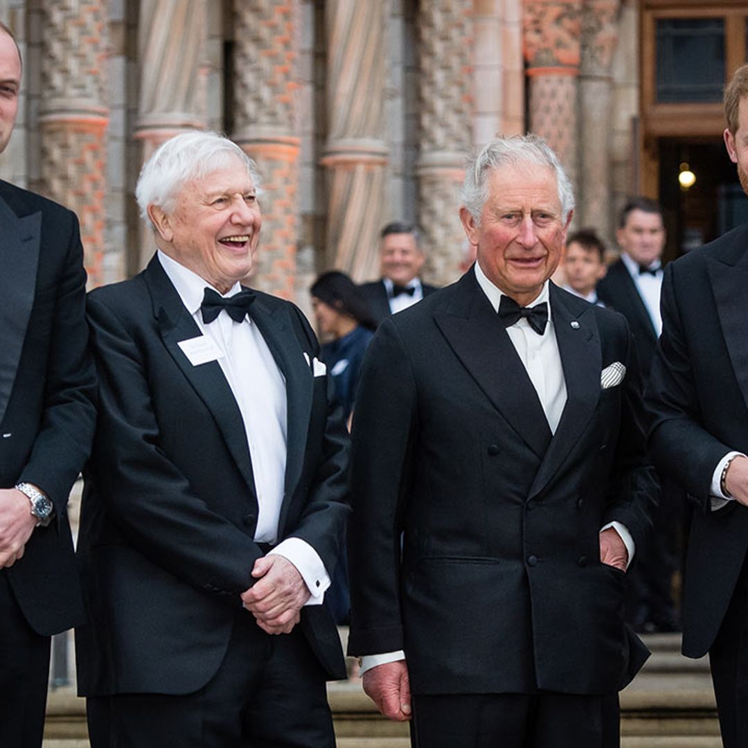 Dapper royals Prince Charles, William & Harry don matching tuxedos for joint engagement