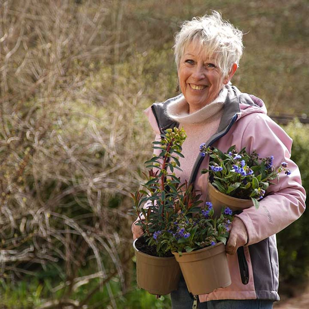Spring Gardening With Carol Klein: how the presenter transformed her stunning Glebe Cottage garden