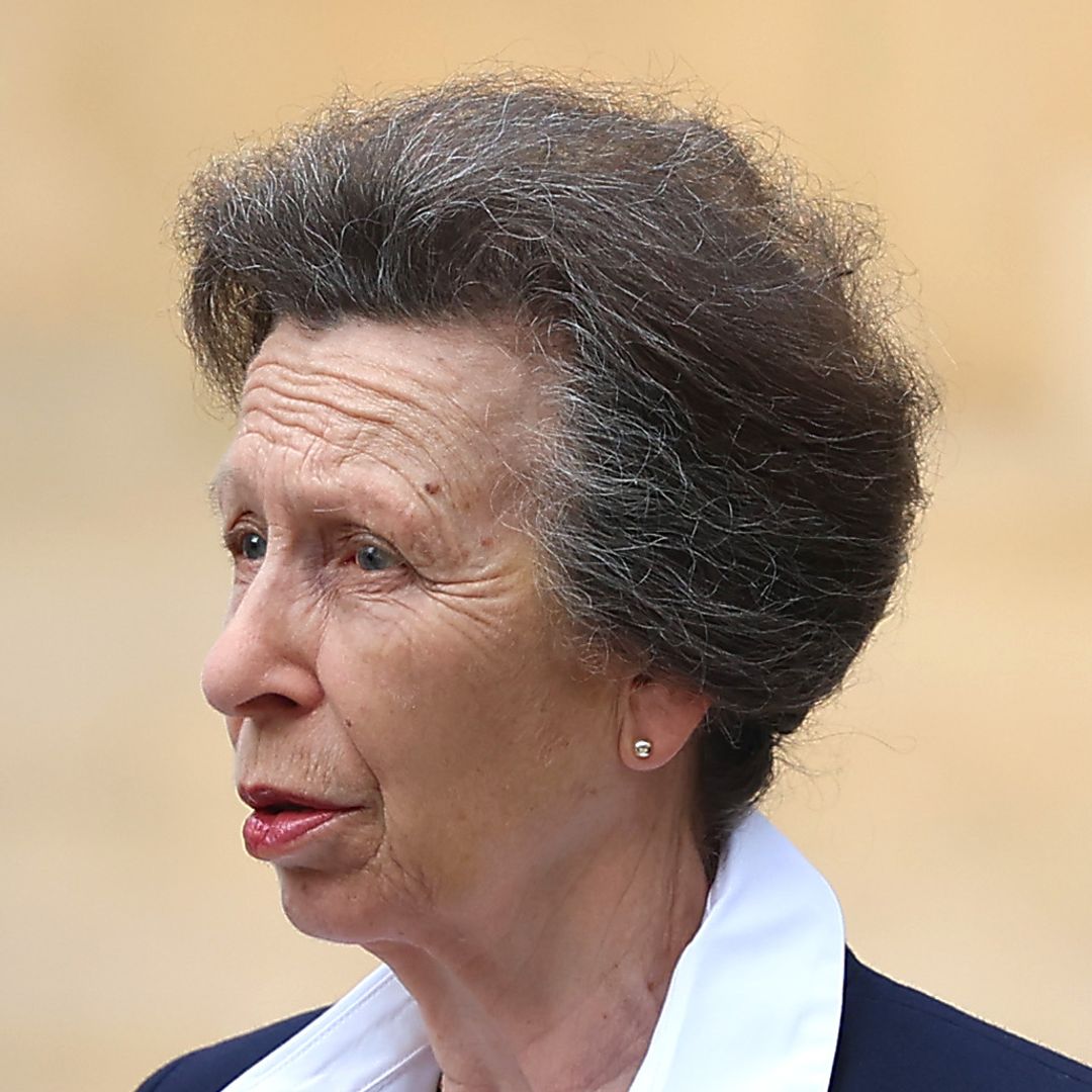 Princess Anne is back to business in shimmering lipstick and power suit