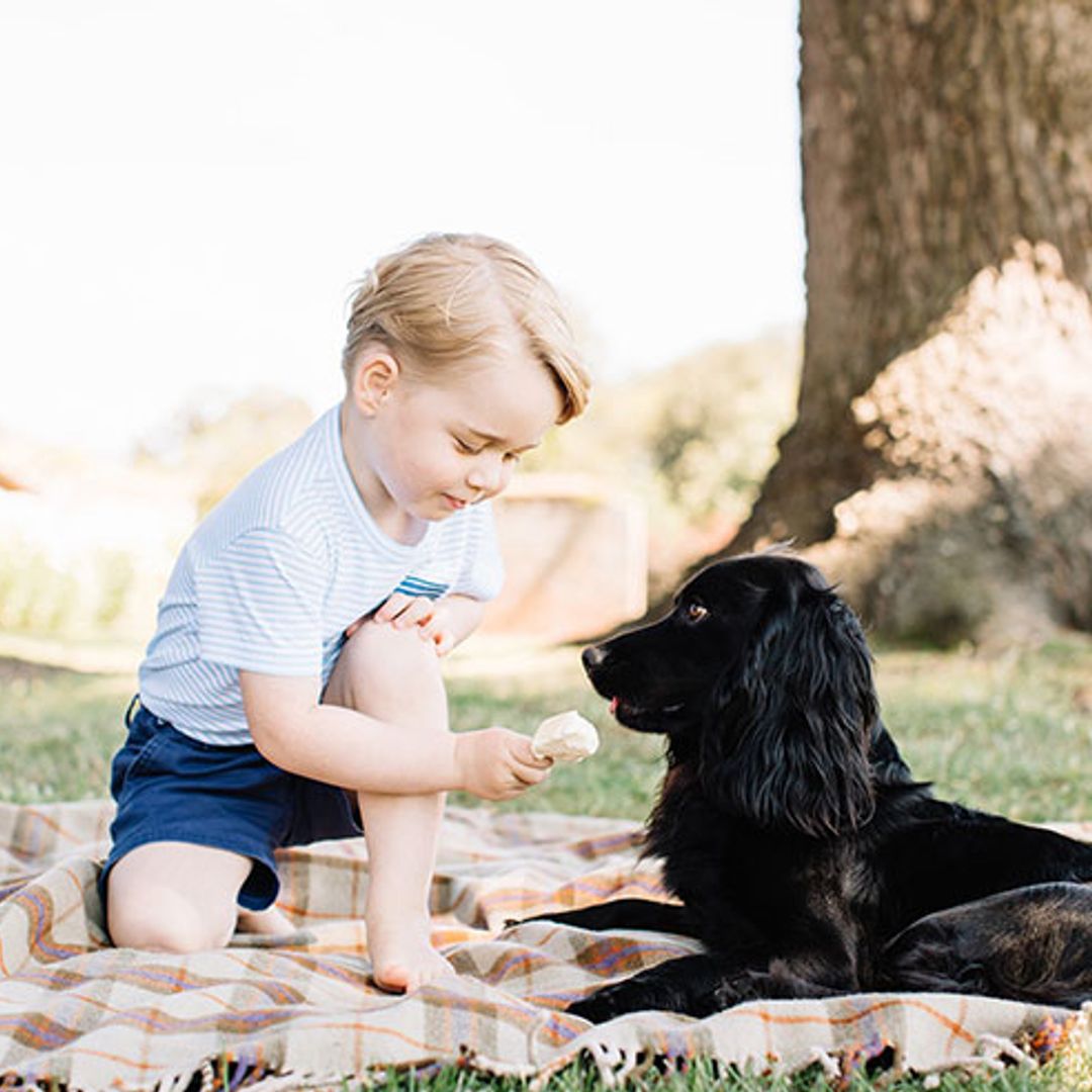 Happy 3rd birthday Prince George! New portraits released of His Royal Cuteness
