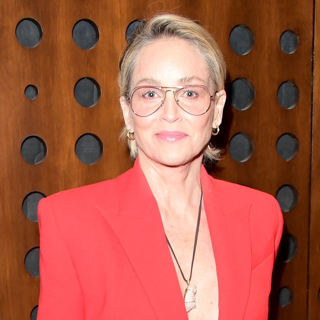 Sharon Stone, 65, stuns in a figure-hugging gown – and a makeup free look