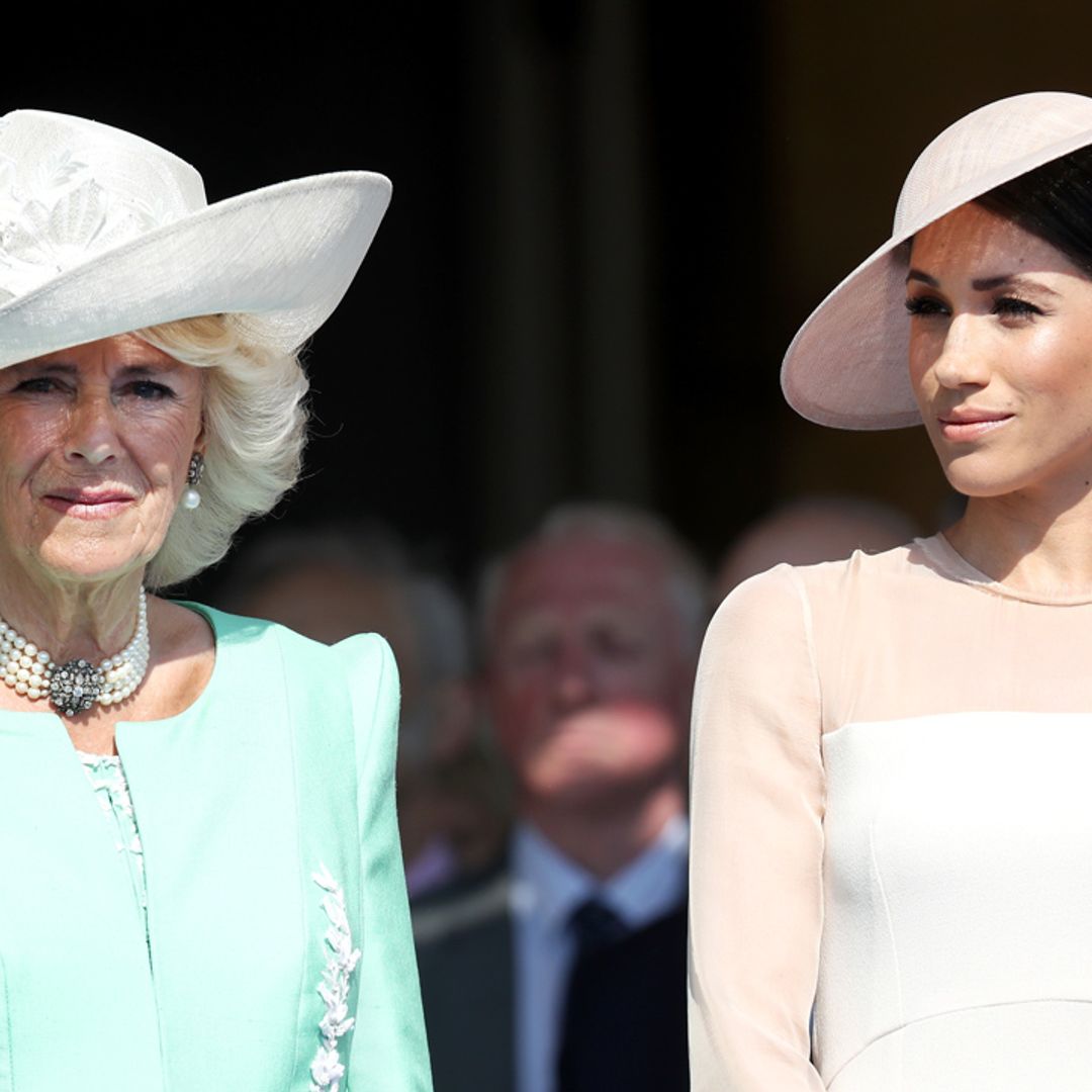 Queen Consort Camilla praised by fans amid Harry and Meghan's Netflix controversy