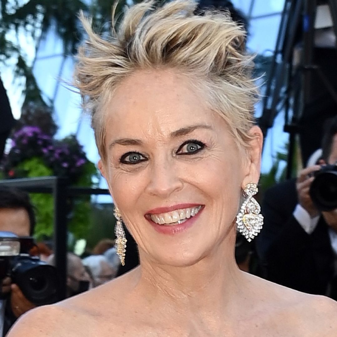 Sharon Stone debuts big transformation for exciting career move
