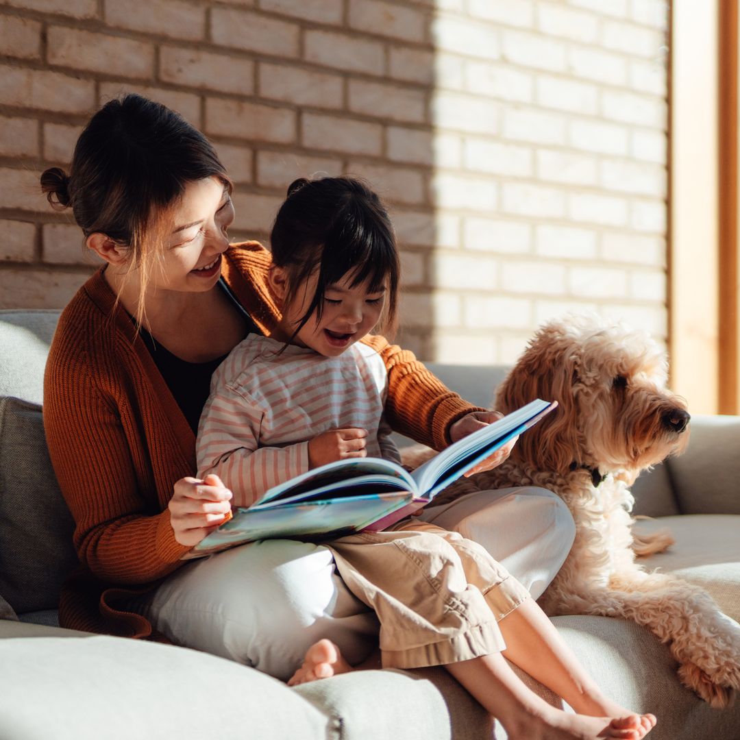 What is dolphin parenting?