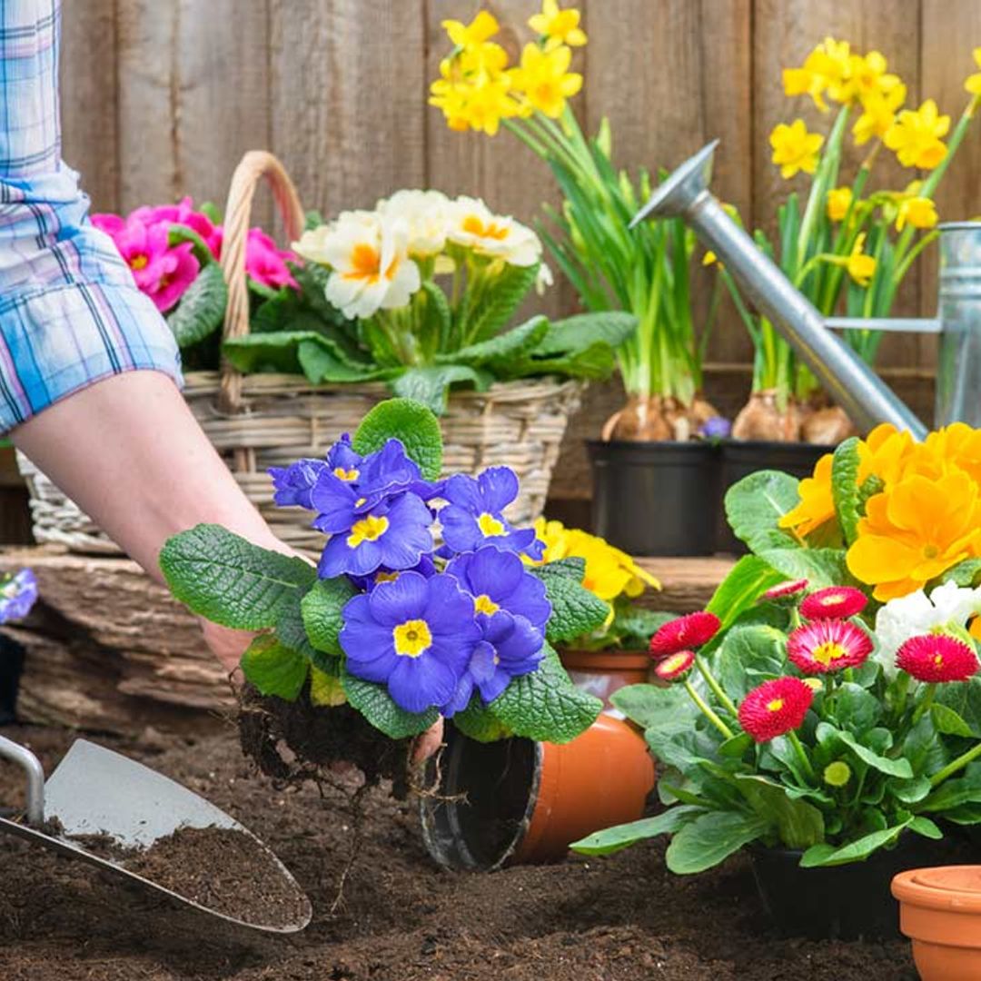 6 viral garden hacks that will transform your outside space in minutes