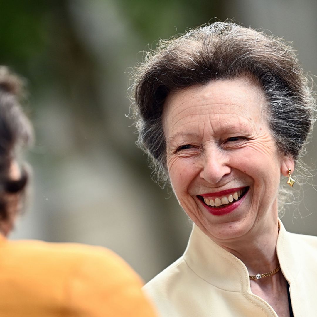 Princess Anne's favourite comedy show revealed – you'll never guess!