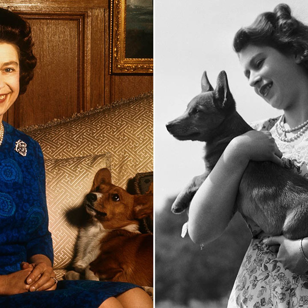 Will Queen's beloved Corgis grieve royal mum? Dog expert reveals all