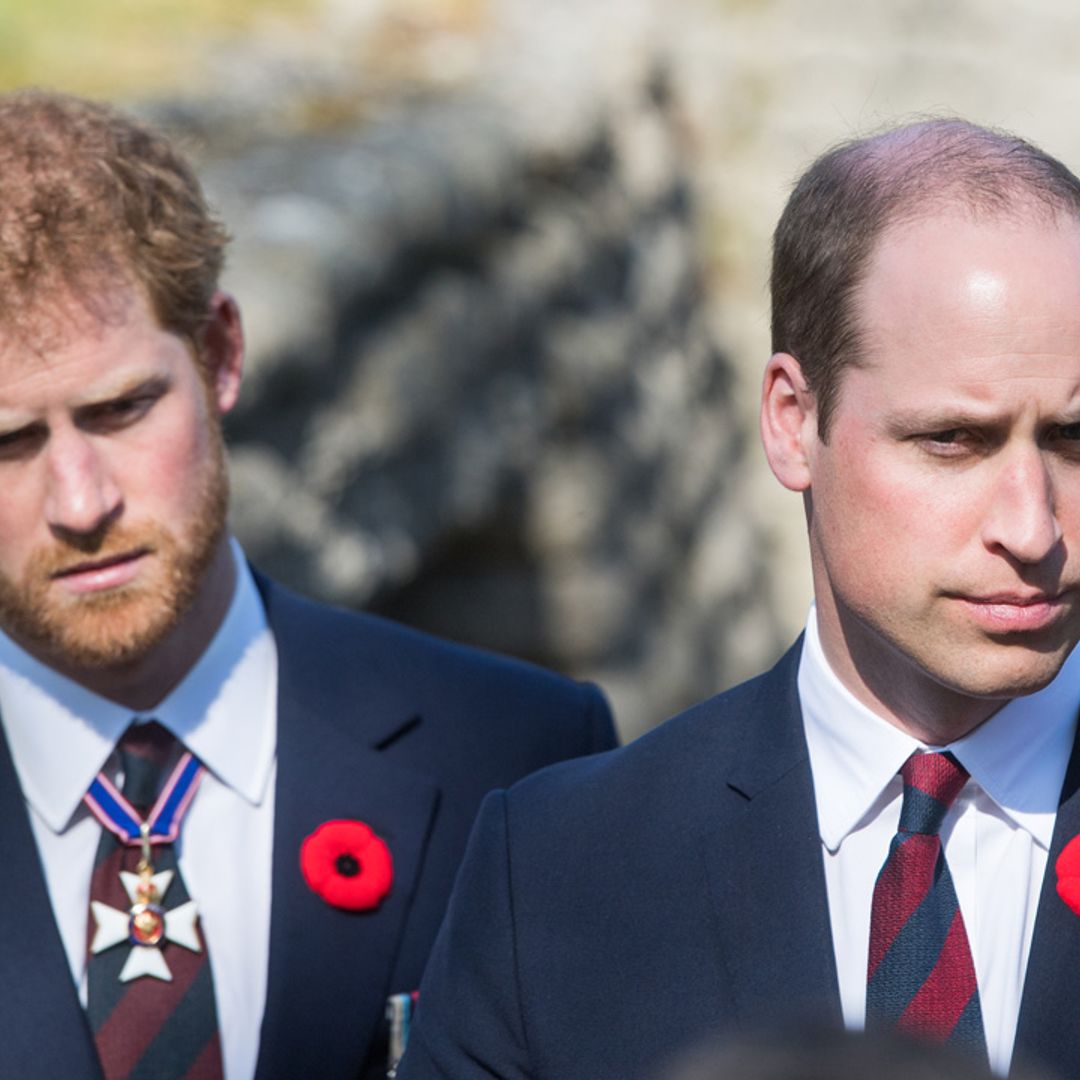 Prince Harry and Prince William to reunite ahead of coronation after sad family death?