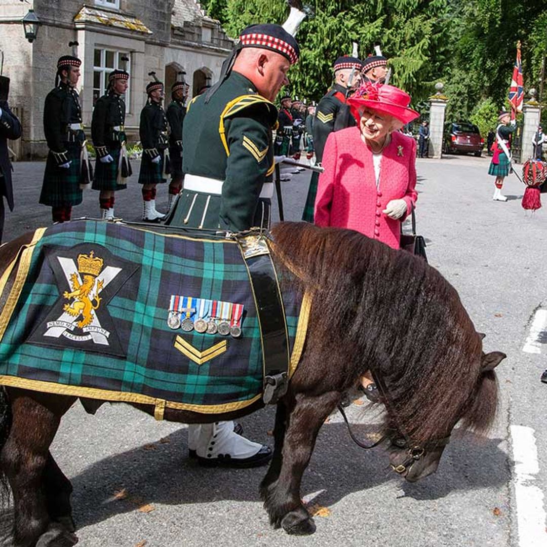 The Queen reunited with cheeky Shetland pony during official welcome to Balmoral - best photos