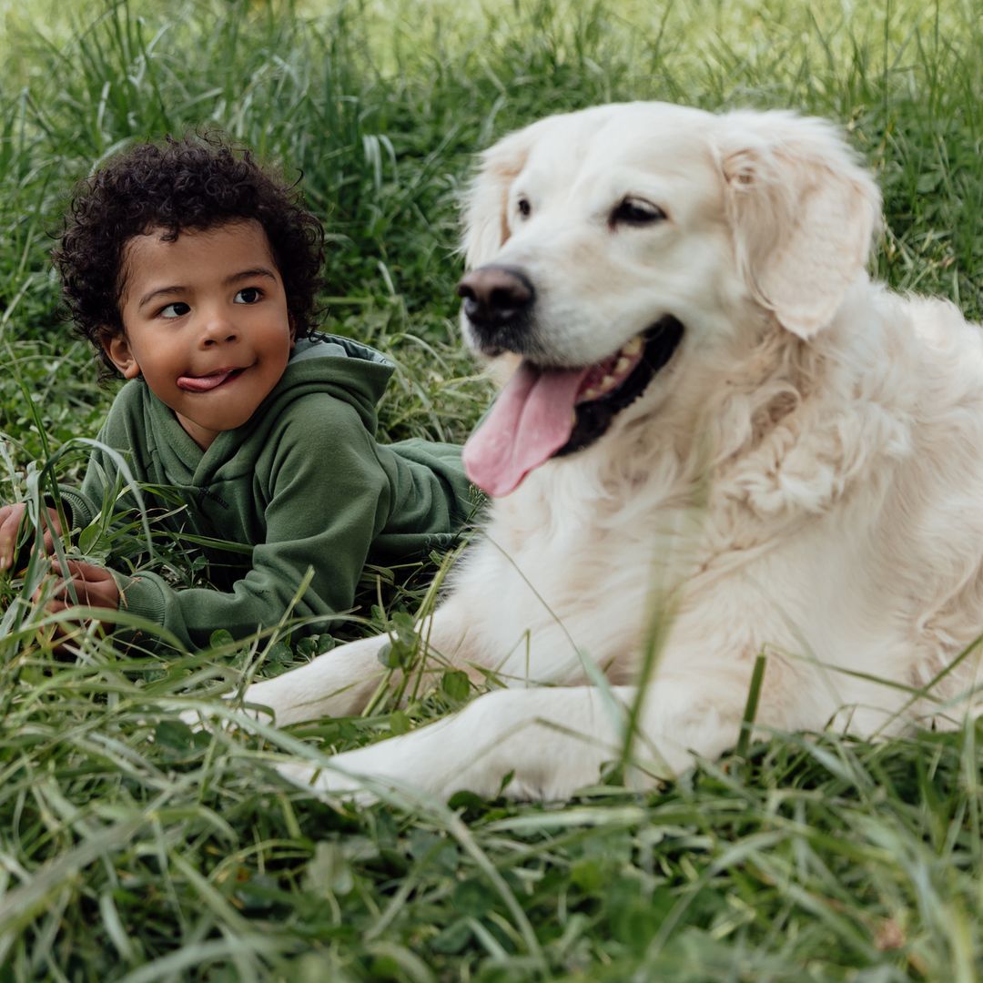 How to introduce your dog to children – and the big mistakes to avoid