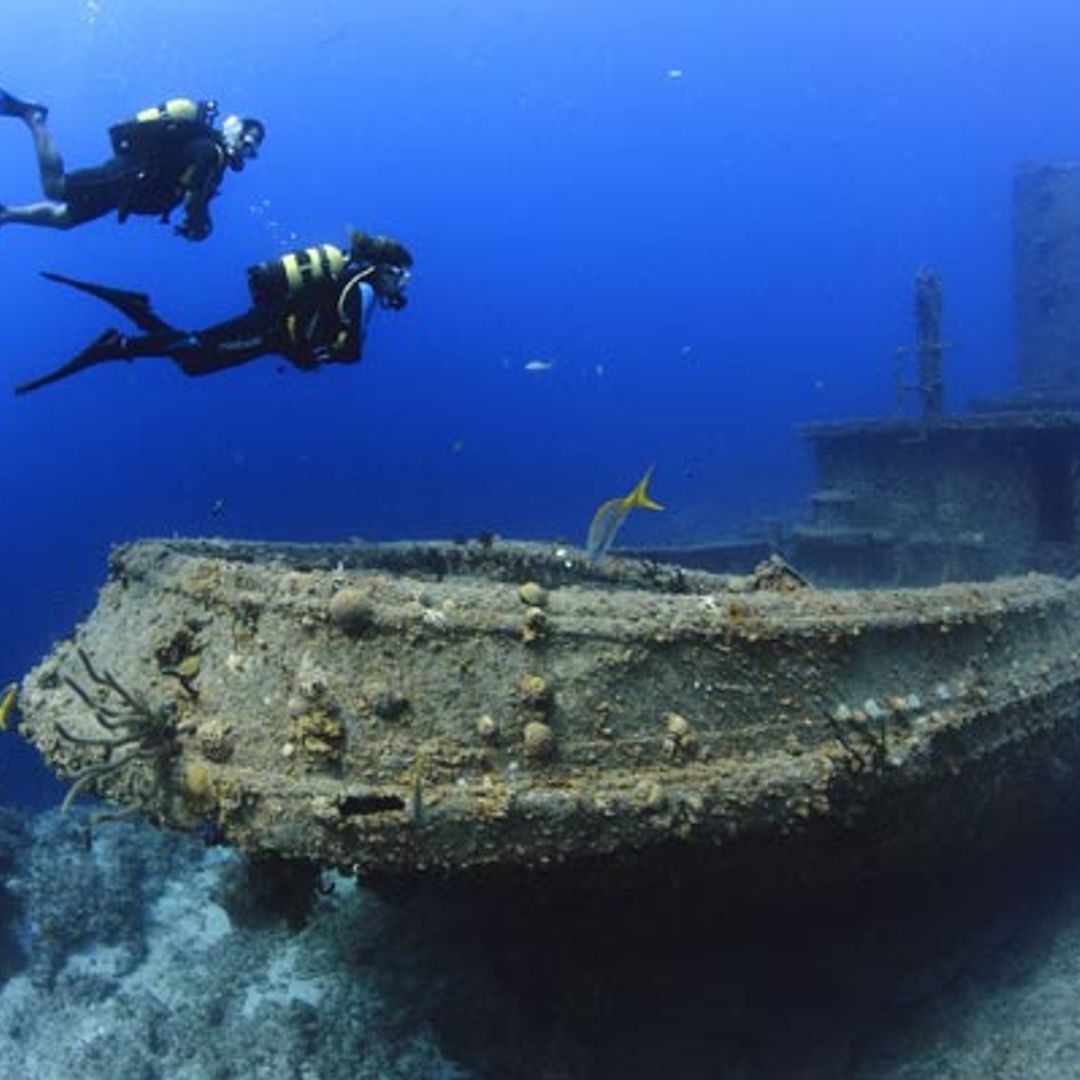 Dive into the world's best scuba sites