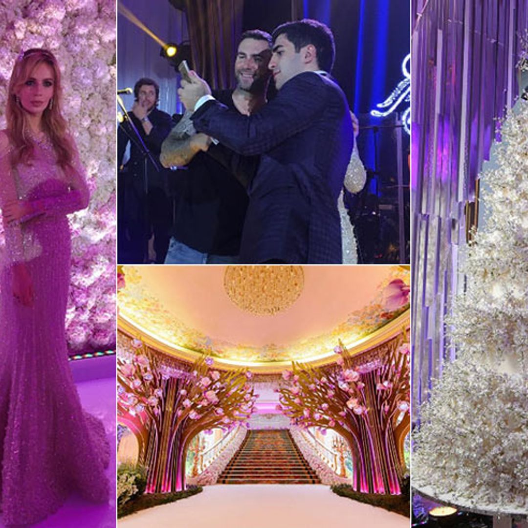 Adam Levine performs at couple's incredible £1.4million wedding