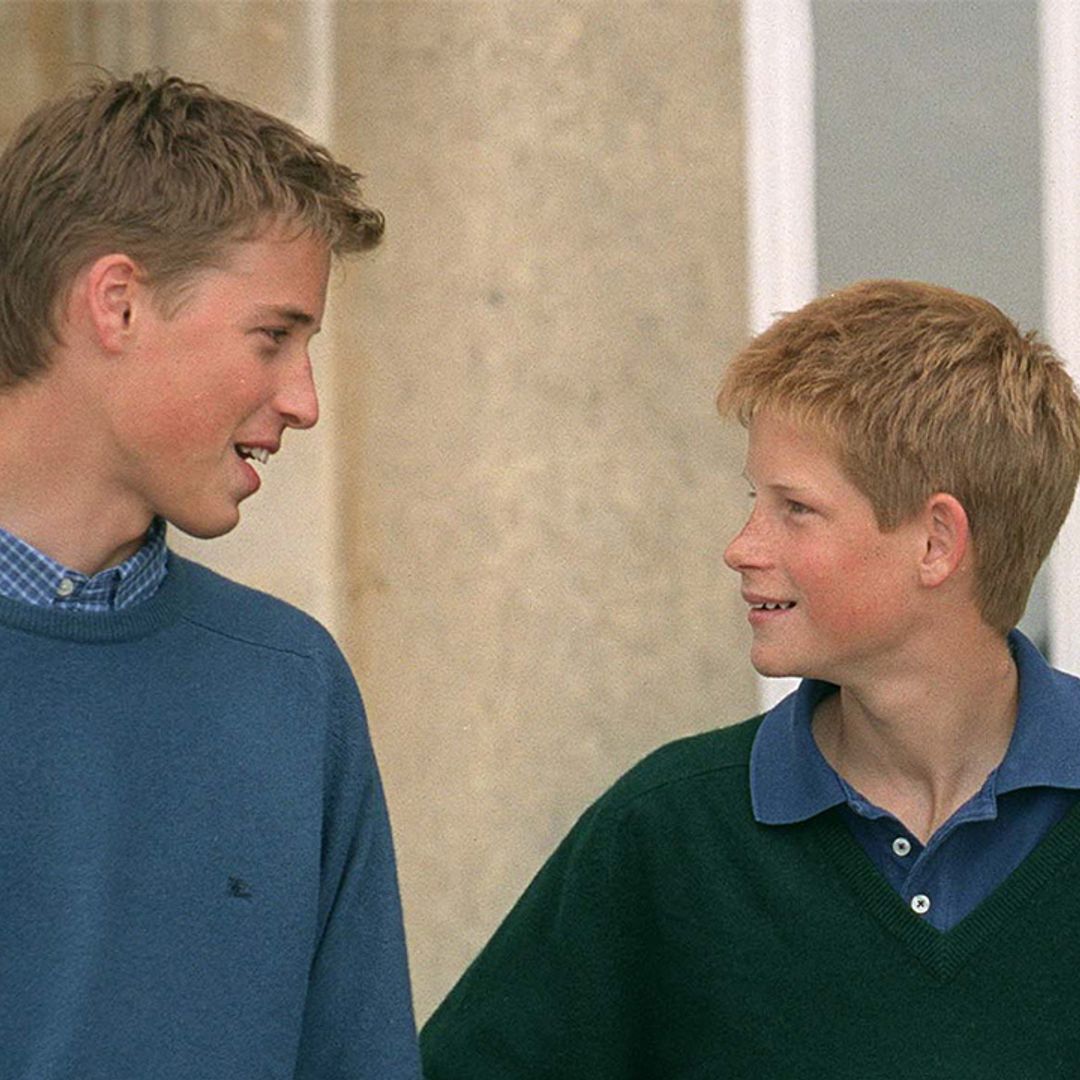 Prince Harry reveals secret code word with Prince William