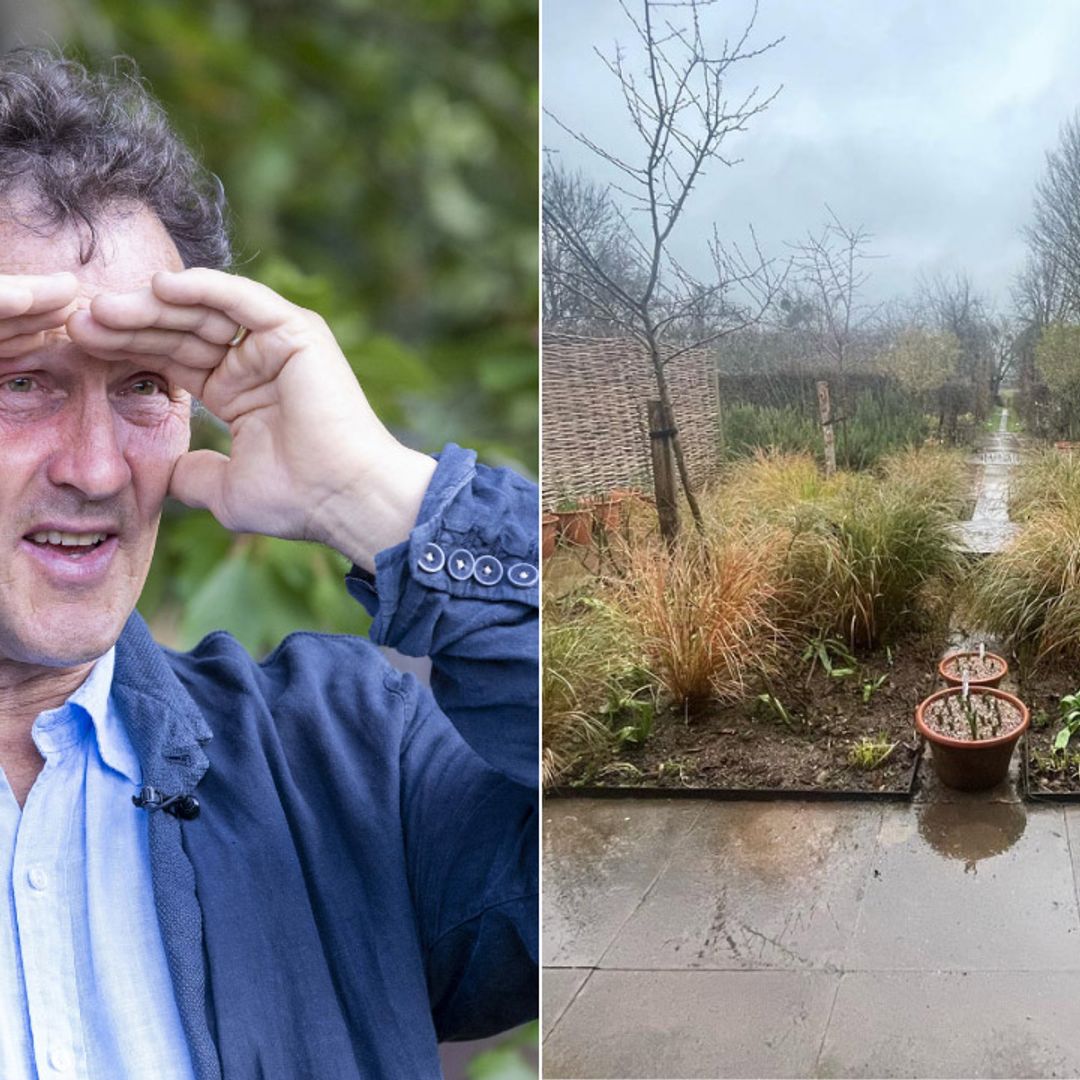 Monty Don impresses fans with epic garden transformation - watch