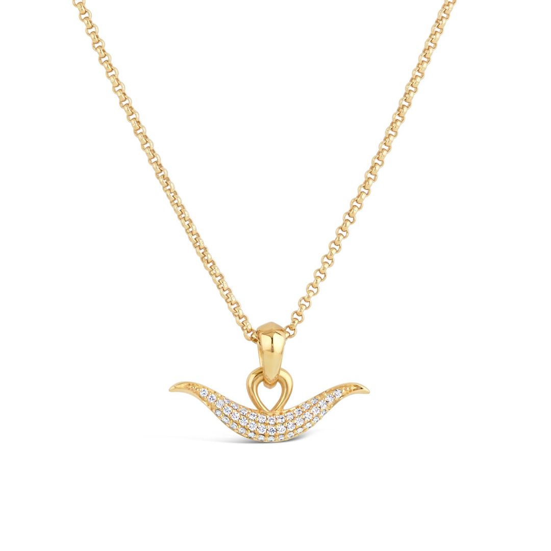 Toro necklace product shot