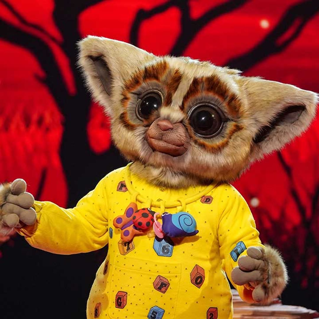 The Masked Singer: Bush Baby's identity revealed in latest episode  - get the details