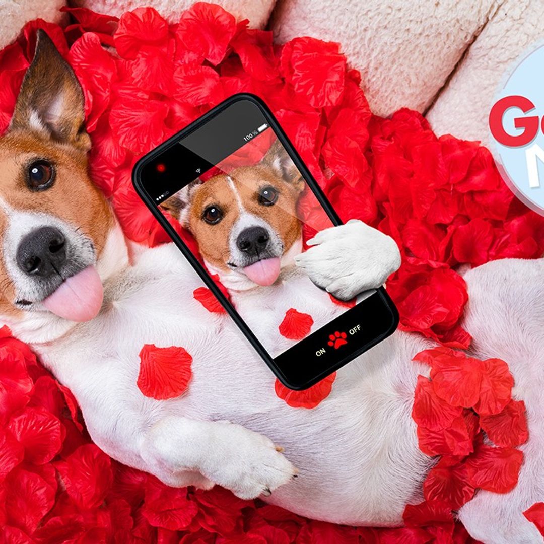 Man admits dating app success is all down to his dog… and tbh we’d swipe right too