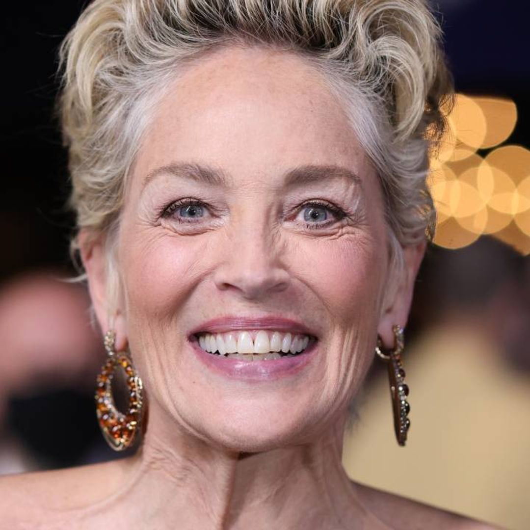 Sharon Stone showcases her natural beauty in flawless beach selfie