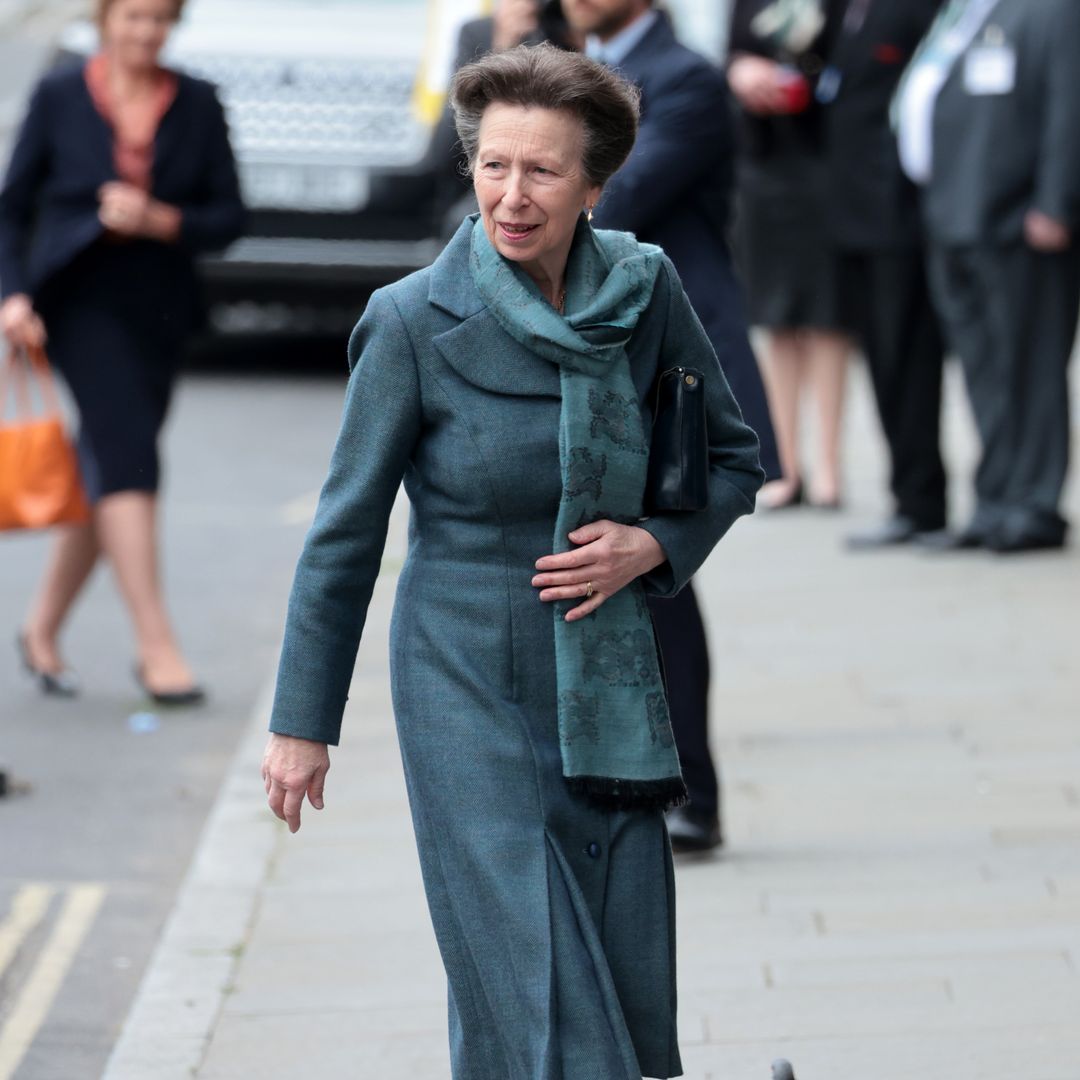 Inside Princess Anne's busy royal schedule - including stepping in for King Charles