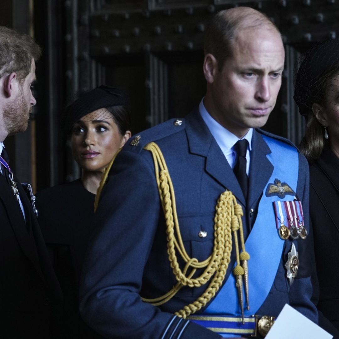 Why the Prince and Princess of Wales appeared in the King's speech but not the Sussexes