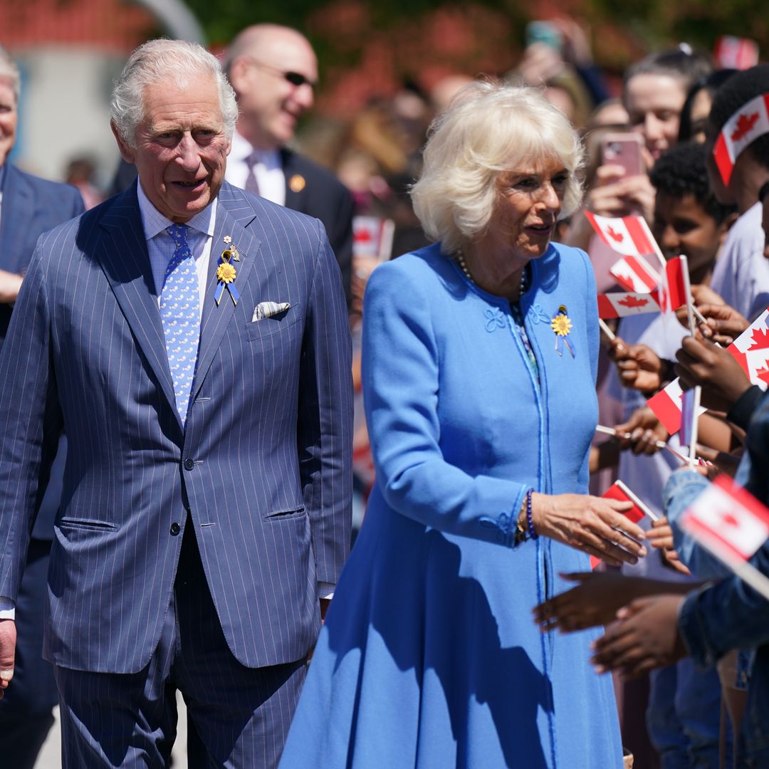 King Charles and the Queen Consort walking past and greeting a crowd who are holding flags