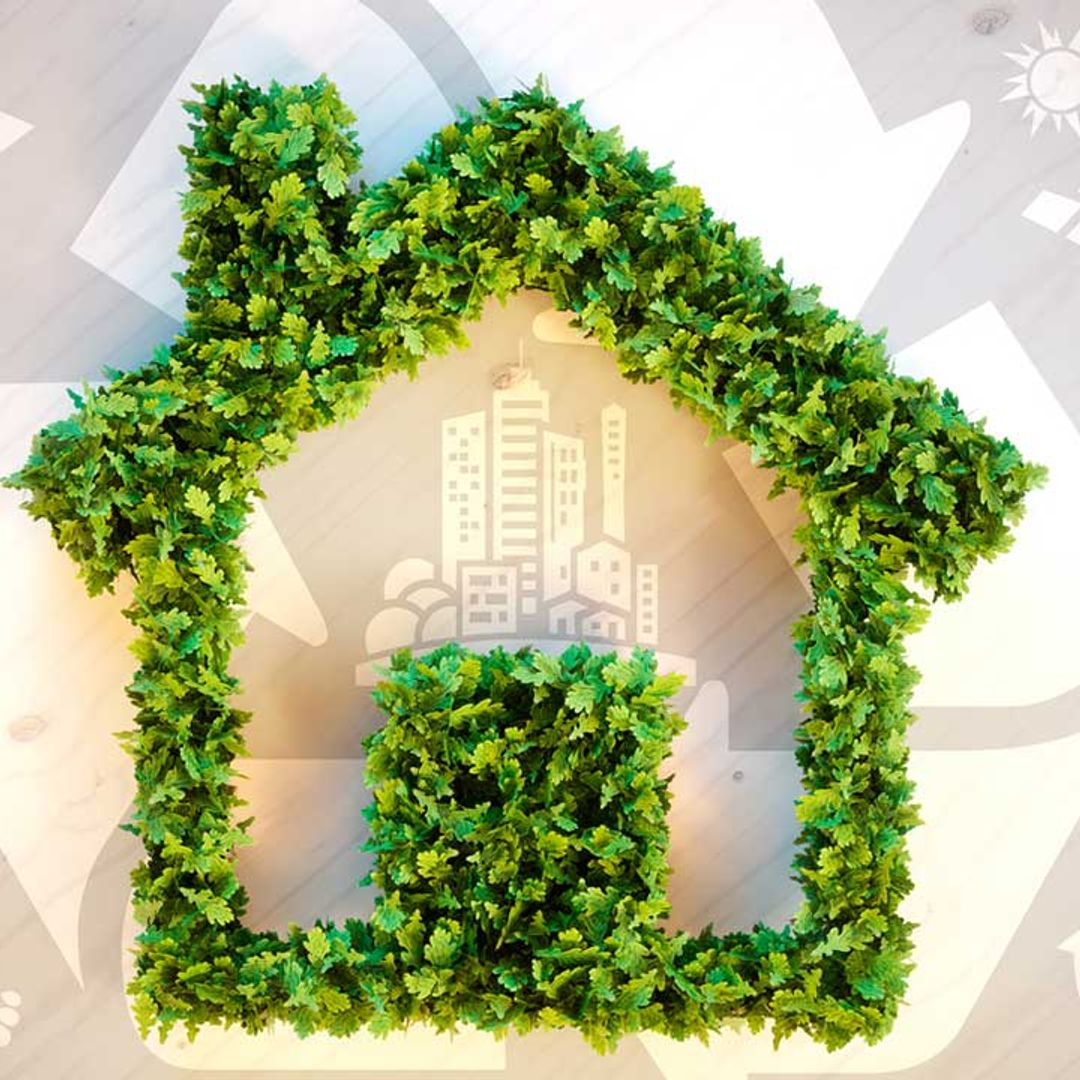 Make your home more eco-friendly with these 12 simple steps