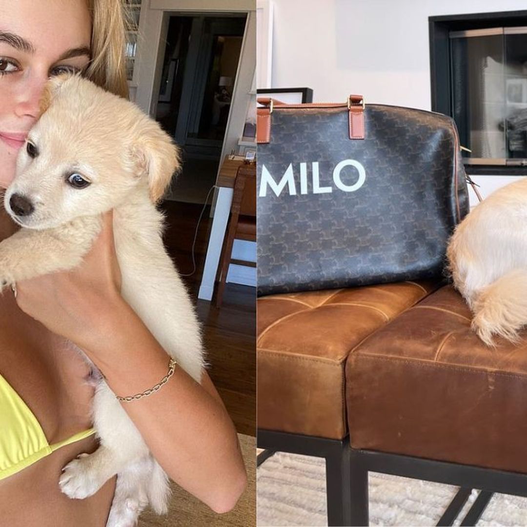 Kaia Gerber’s custom Celine dog bag is serious goals