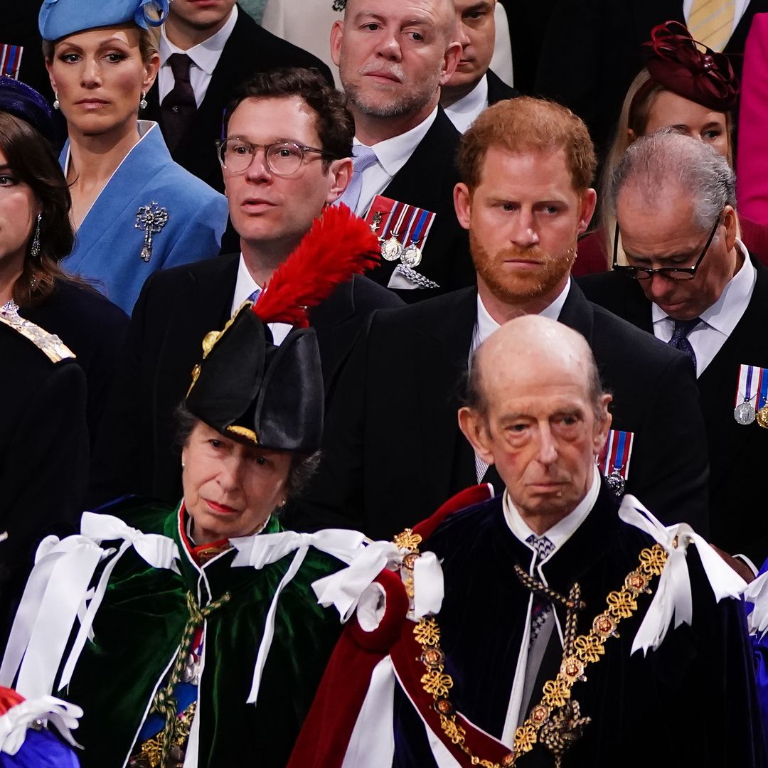 Princess Anne breaks silence over 'decent-sized hat' blocking Prince Harry's view at coronation
