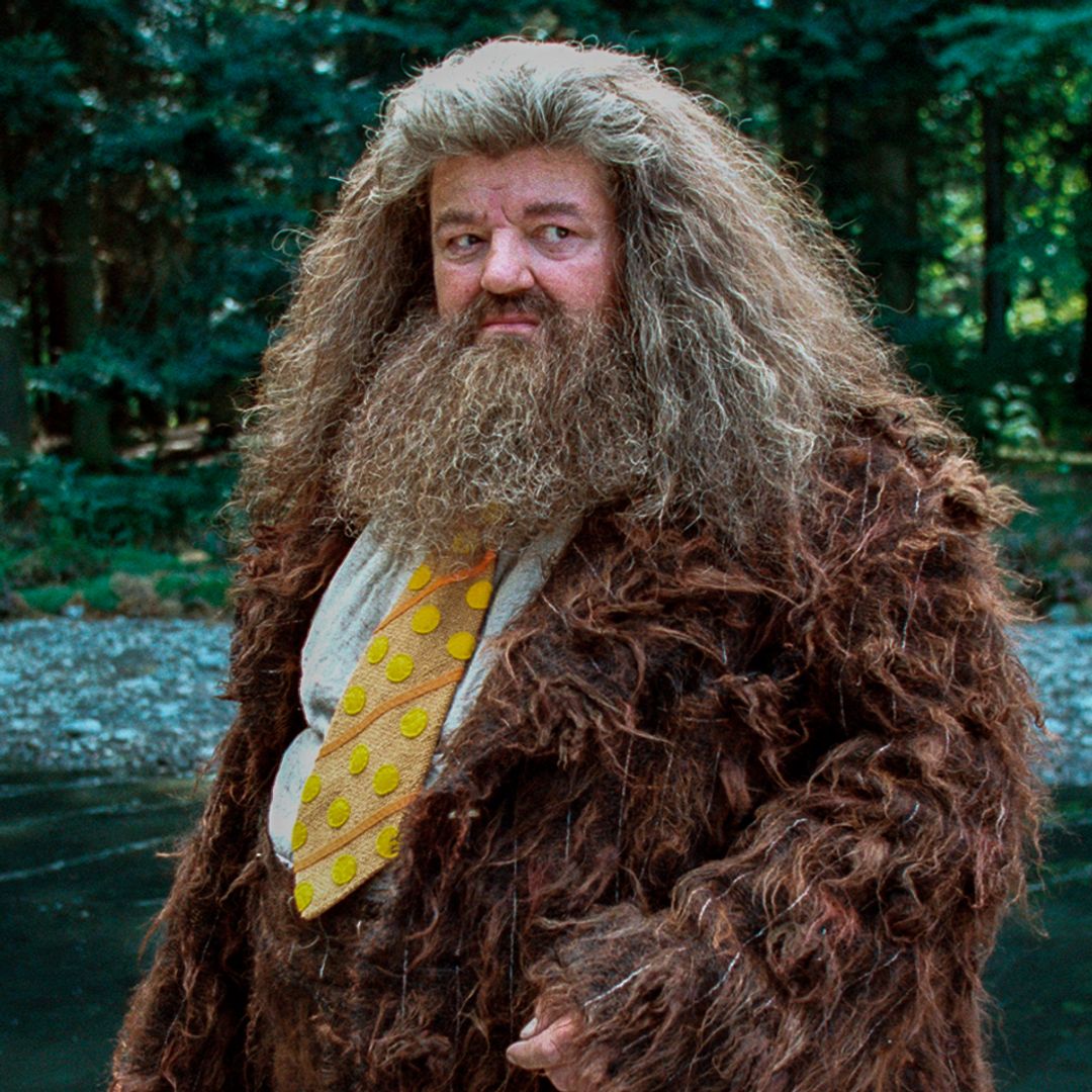 Harry Potter director delivers scathing comment after seeing first photos of Hagrid