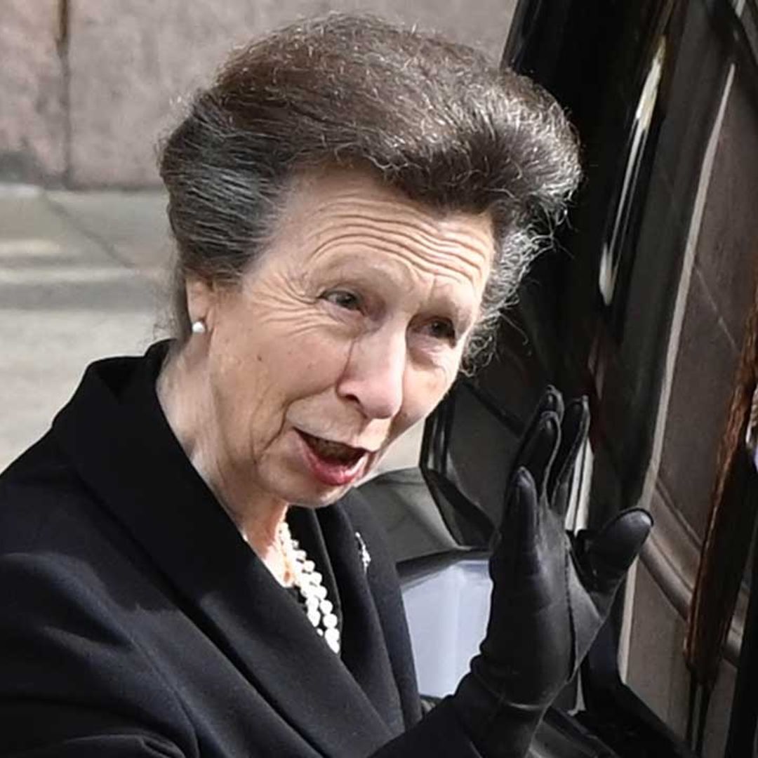 Princess Anne pictured without uniform for poignant occasion