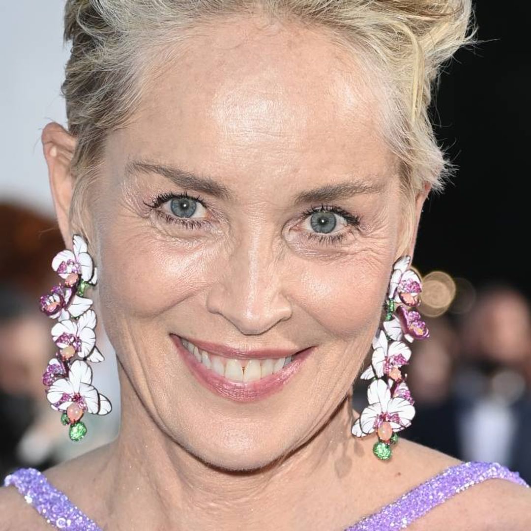 Sharon Stone is a work of art in her swimsuit photo - quite literally