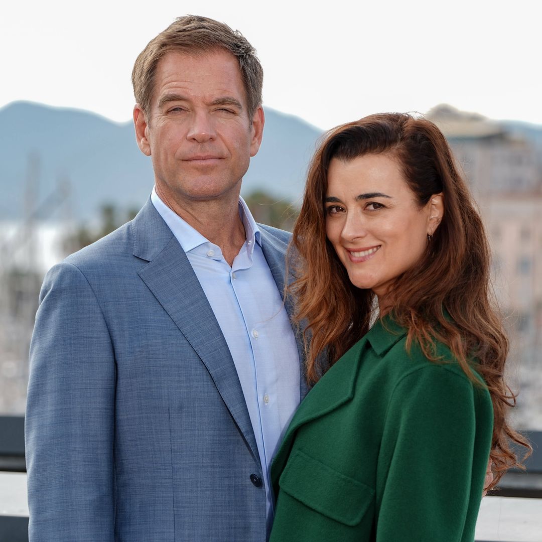 NCIS star Michael Weatherly teases long-awaited update for Tony & Ziva spin-off