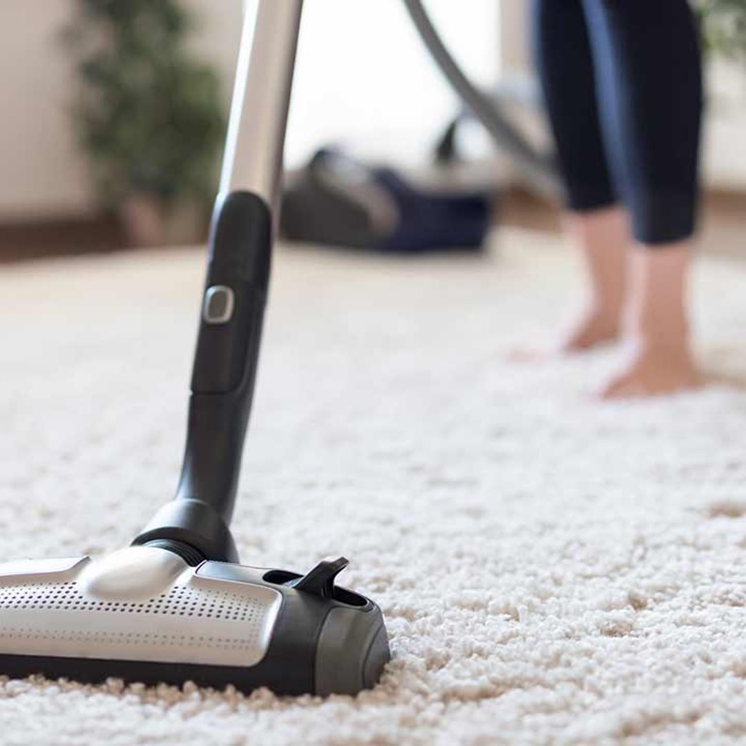 Mrs Hinch's £1 tip for getting hair out of carpets is a must-try for pet owners