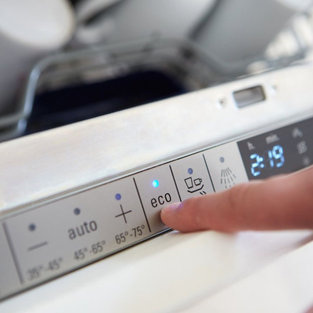 Best dishwashers to buy in 2020: Smart, eco-friendly & budget dishwashers